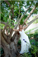 Bride Posing in Front of a Tree
