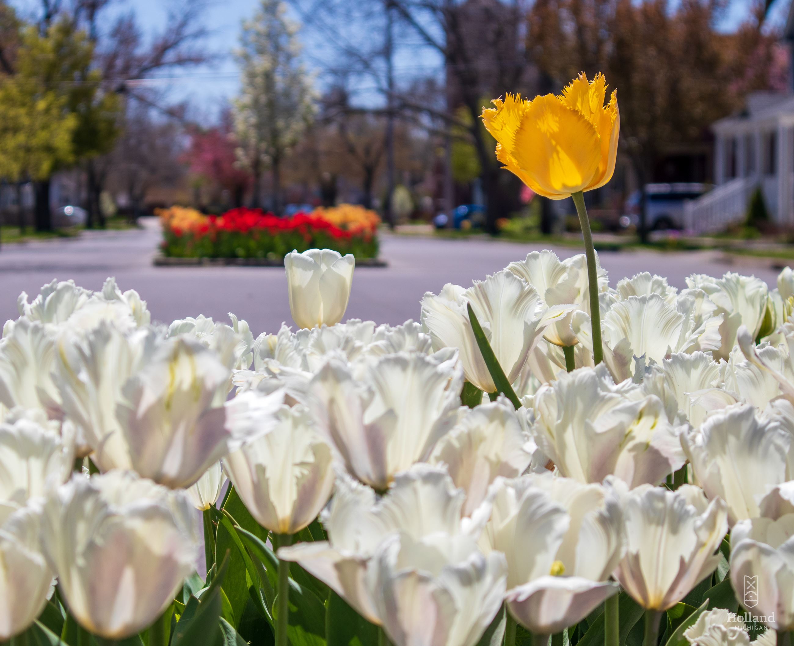 img_6089_49937989006_o