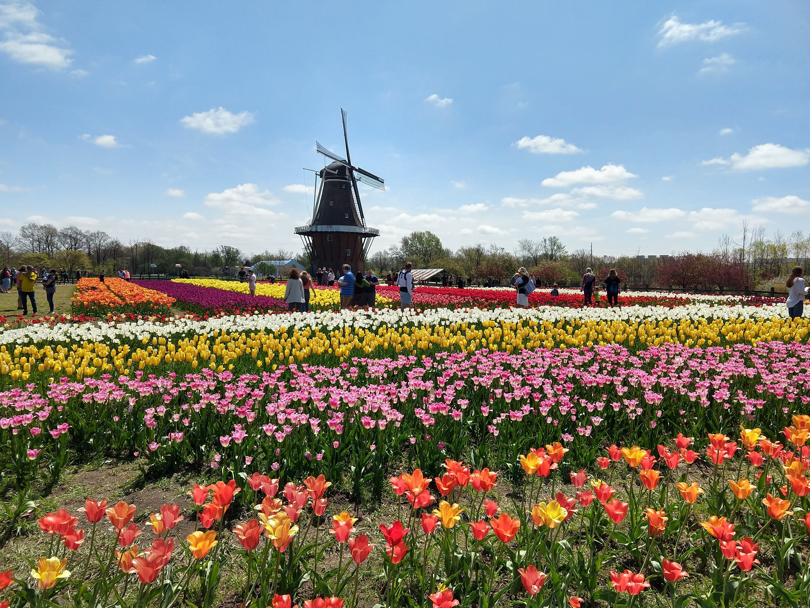 IMG_20200516_115905517_HDR