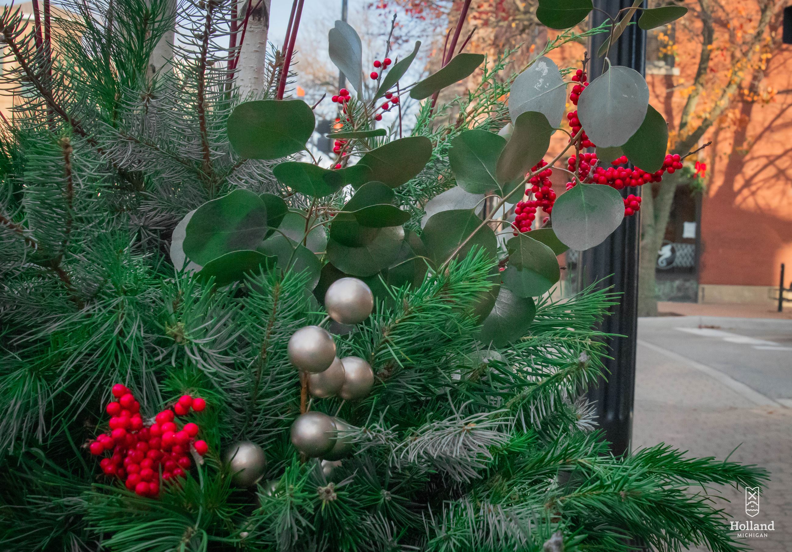 Holidays in Holland 2020