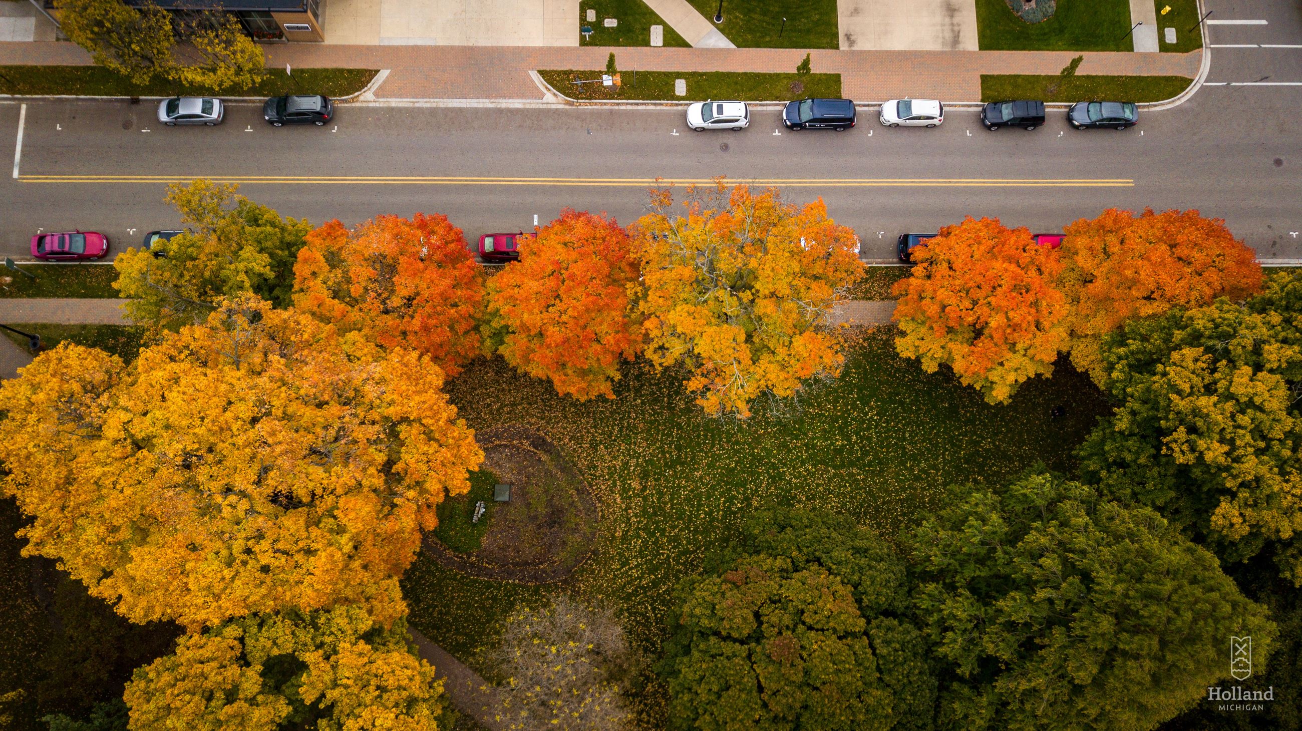 On Street Parking - Fall Holland