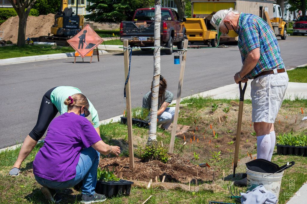 Neighbors planting trees together