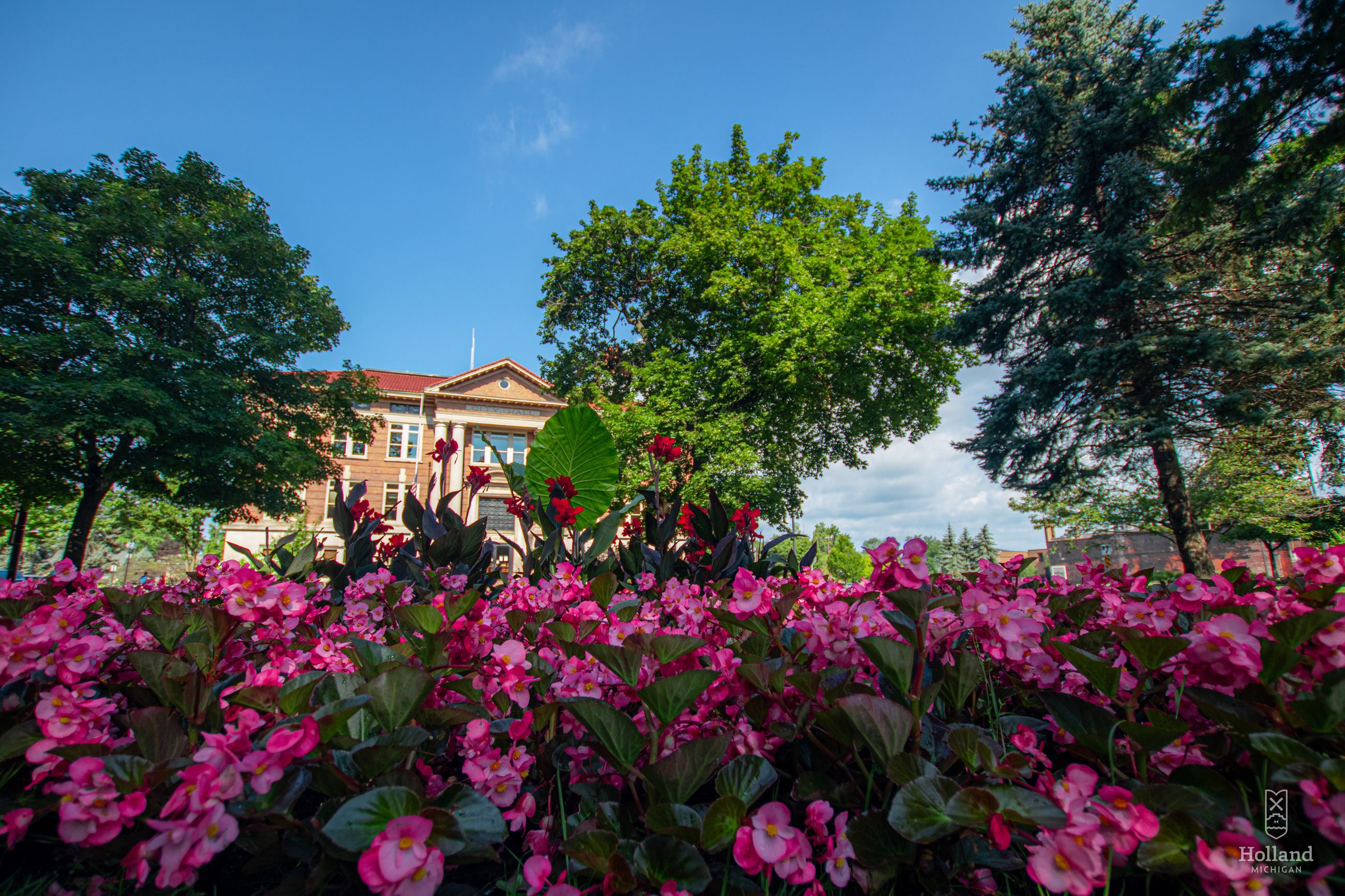 Holland City Hall - with flowers