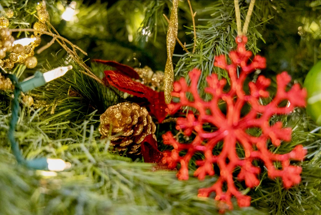 Pine cone and red, glittery plastic snowflake decoration nestled in a Christmas tree