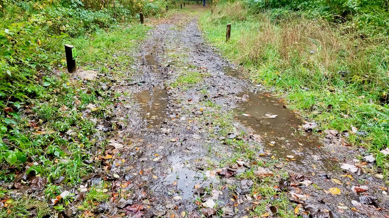 muddy and wet hiking trial
