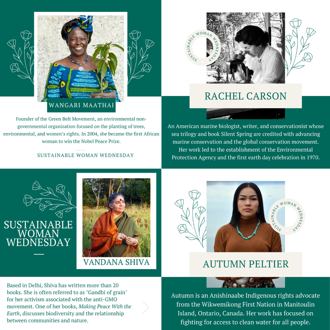 Holland Sentinel Sustainable Women Graphic