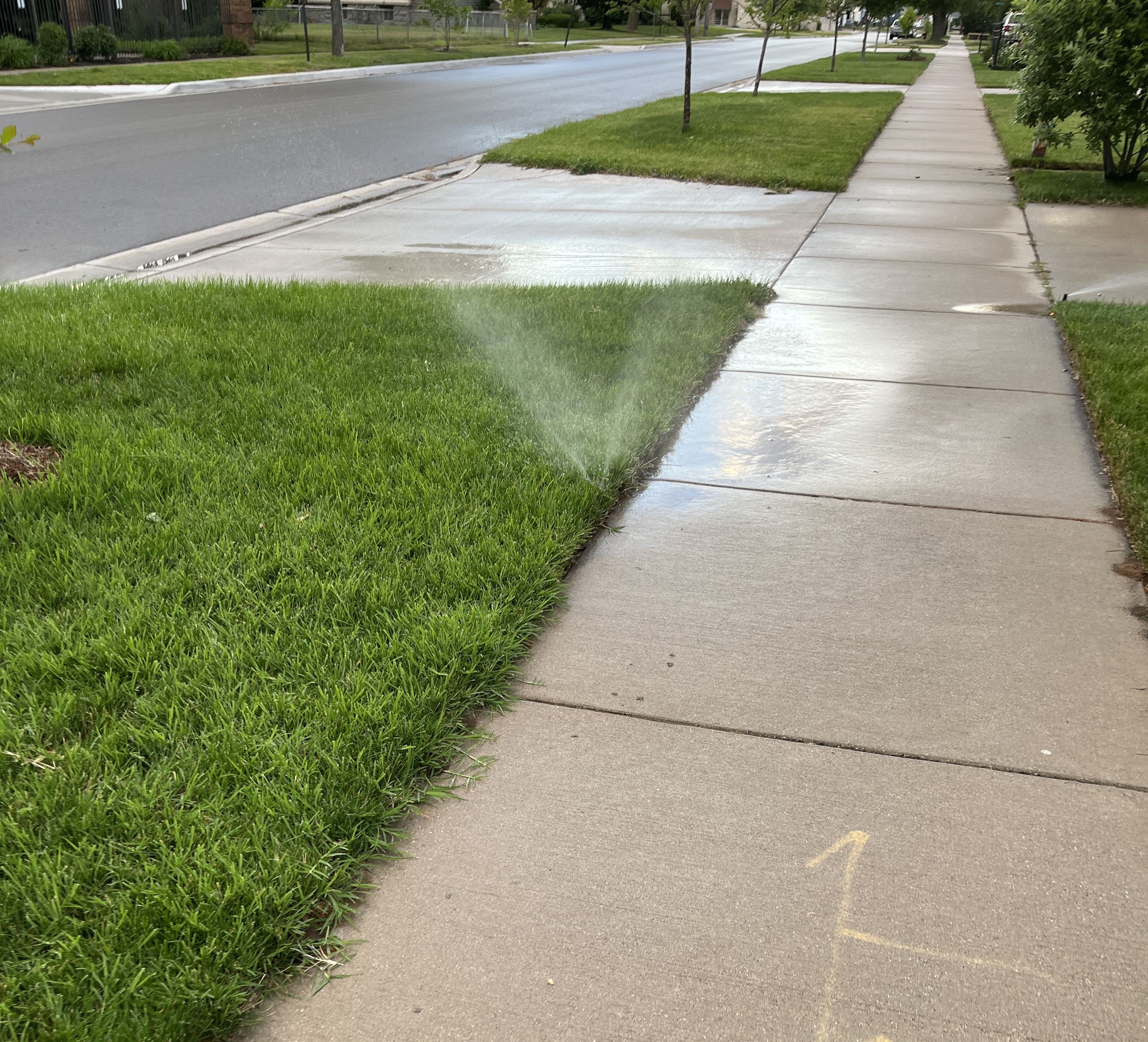 Wet sidewalk and grass from the in-ground sprinkler