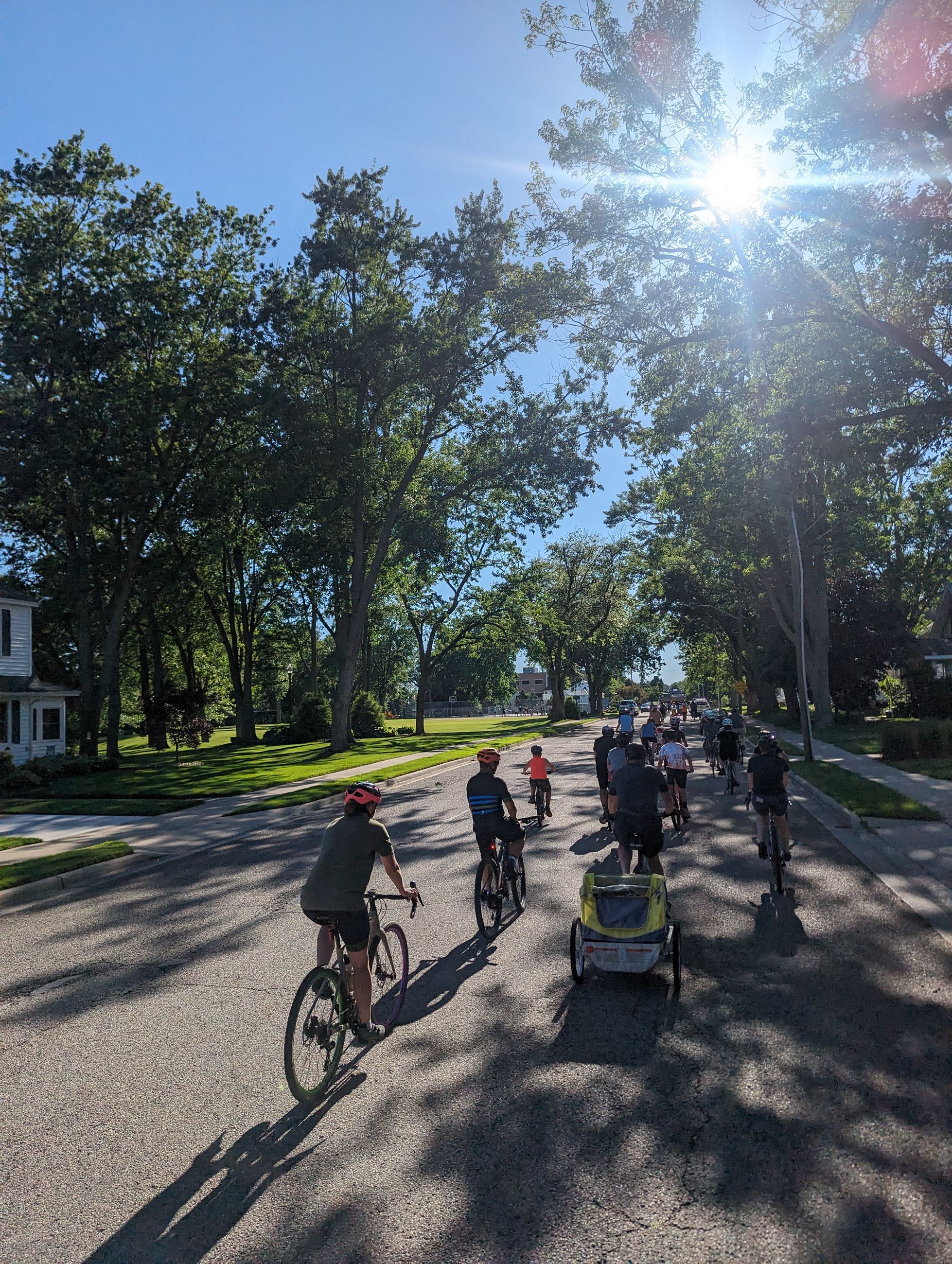 People riding bicycles on a residential street, lined with mature trees, sun shining 