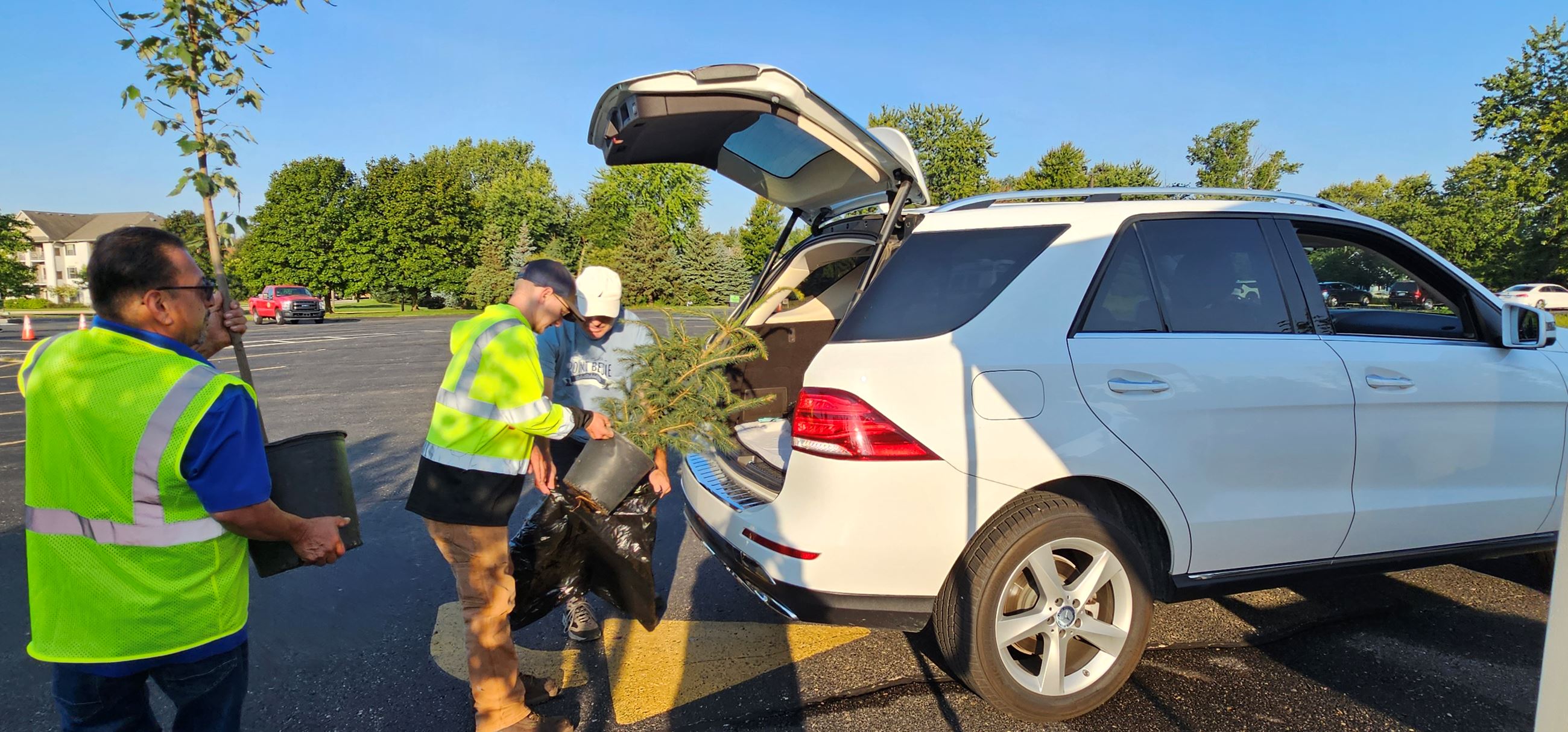 Men loading a potted tree into the back of a car