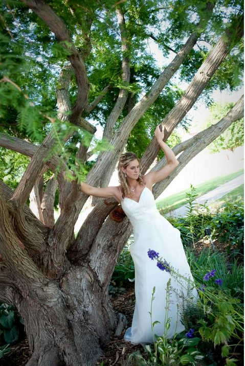 Bride Posing in Front of a Tree