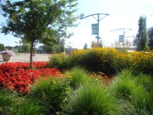 8th Street Marketplace