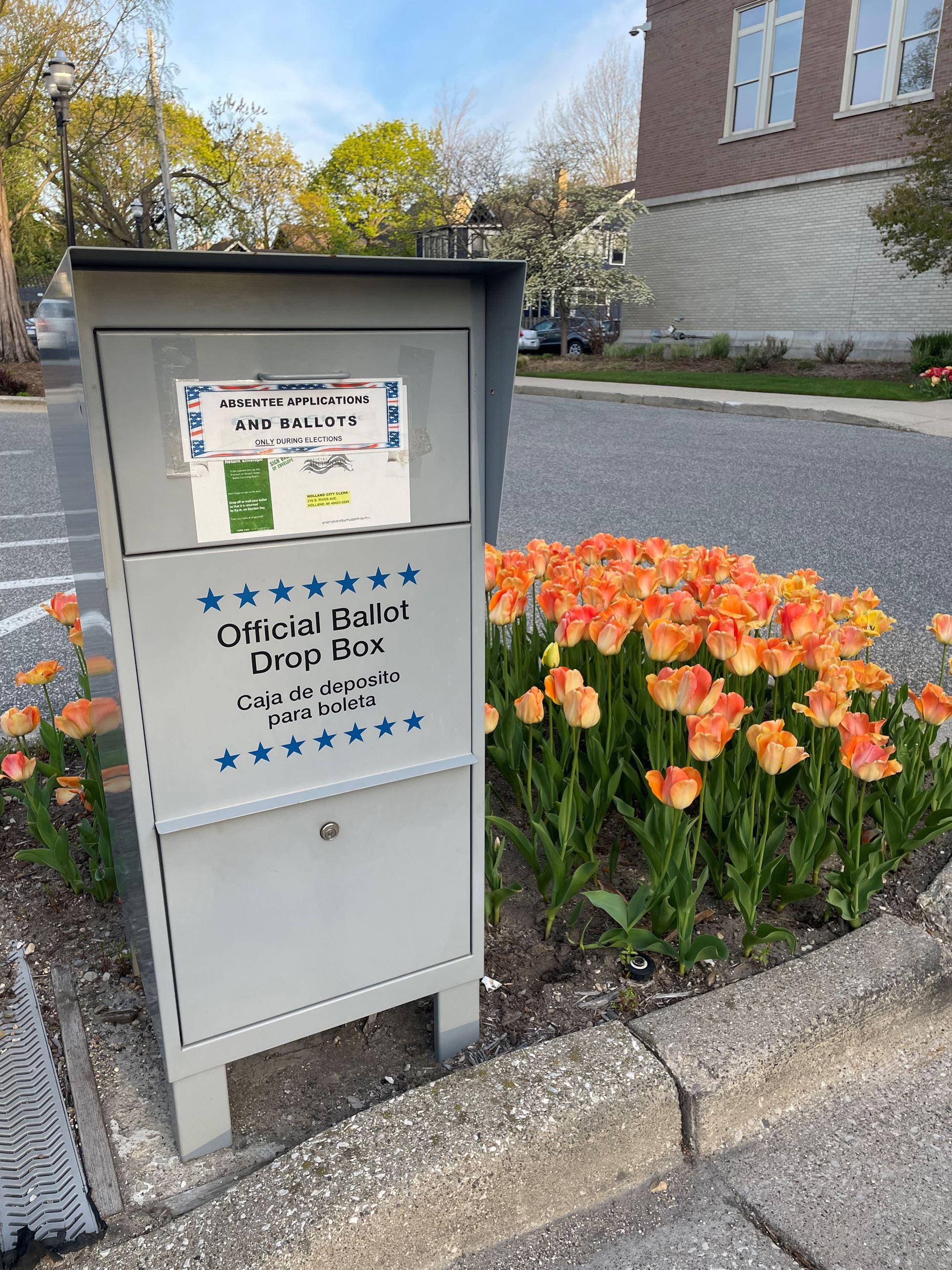 Drop box picture City Hall 2024