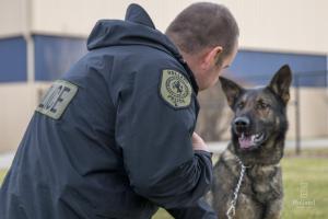 Officer with His Canine