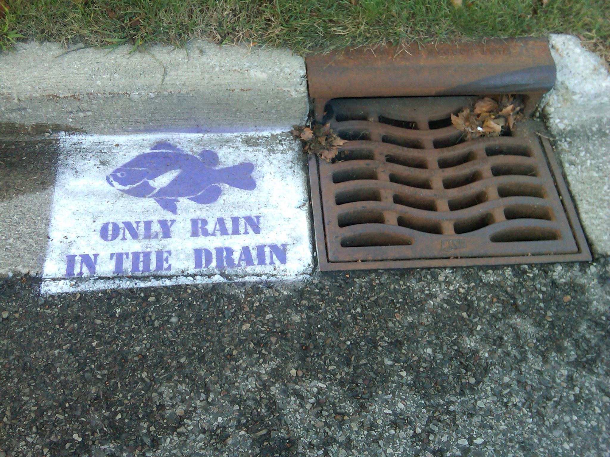 Boy Scout Drain Stencil Next to a Drain